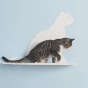 Cat Silhouette Cat Shelf