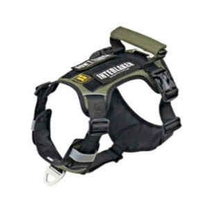 Interlaken Slim 2.0 Dog Harness
