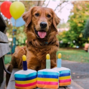 Party Time Collection - Bone-appetite Cake Dog Plush Toy