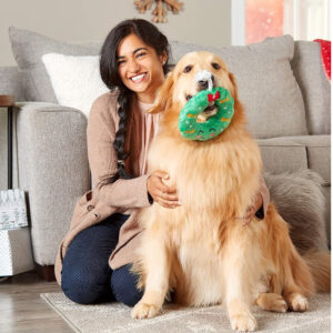 Christmas Wreath Dog Toy