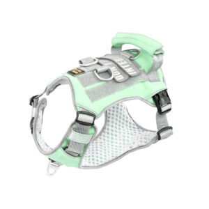Interlaken Air-Cooling Dog Harness