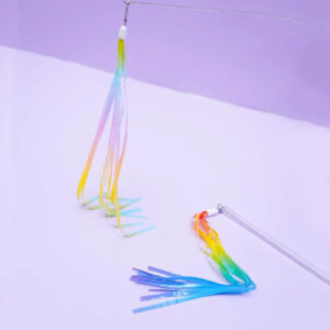 Rainbow Jellyfish Cat Teaser