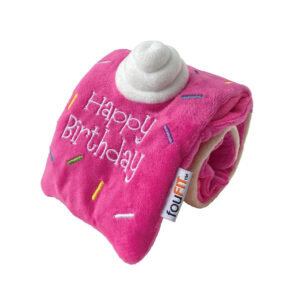 Birthday Roll Hide 'n Seek Dog Toy