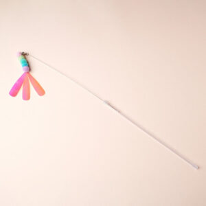 Rainbow Worm Cat Teaser