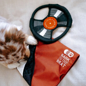 Bark To The Beat Snuffle & Squeaky Dog Toy