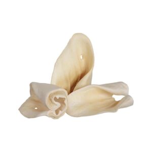 Red Barn - Slightly Roasted Beef Ear Dog Dental Chews Default Title