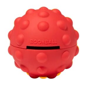 Soft BoonBall for Dog Leash Use