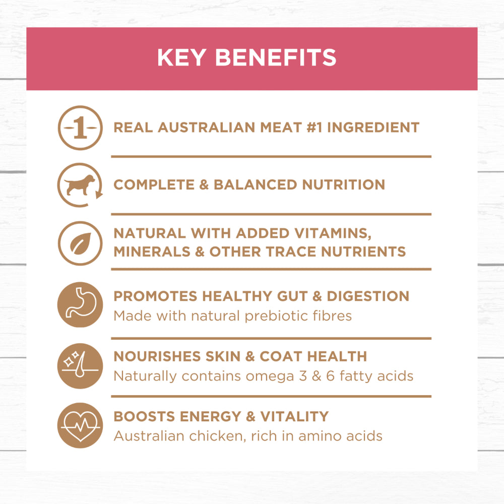 Frozen - Grain Free Slow Cooked Lamb & Salmon for Adult Dog - Image 5