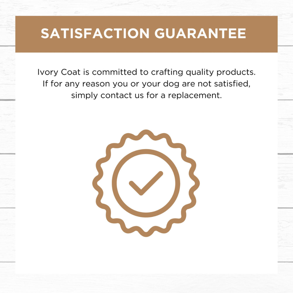 Frozen - Grain Free Slow Cooked Lamb & Salmon for Adult Dog - Image 4