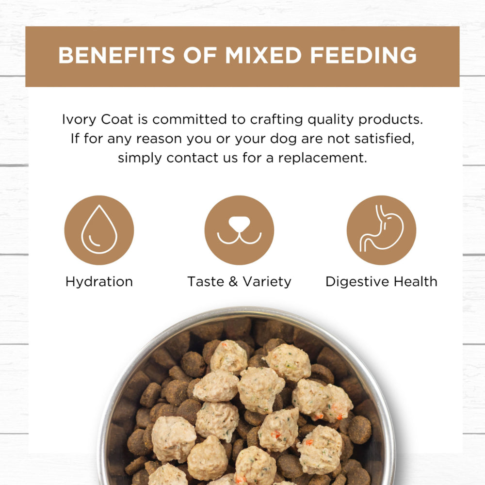 Frozen - Grain Free Slow Cooked Lamb & Salmon for Adult Dog - Image 3