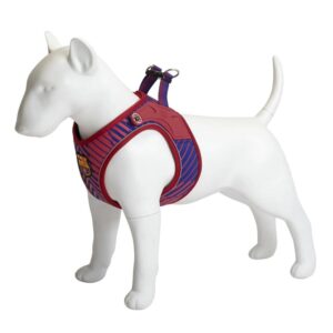 Barcelona Air Vest for Dogs