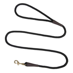 Snap Dog Leash