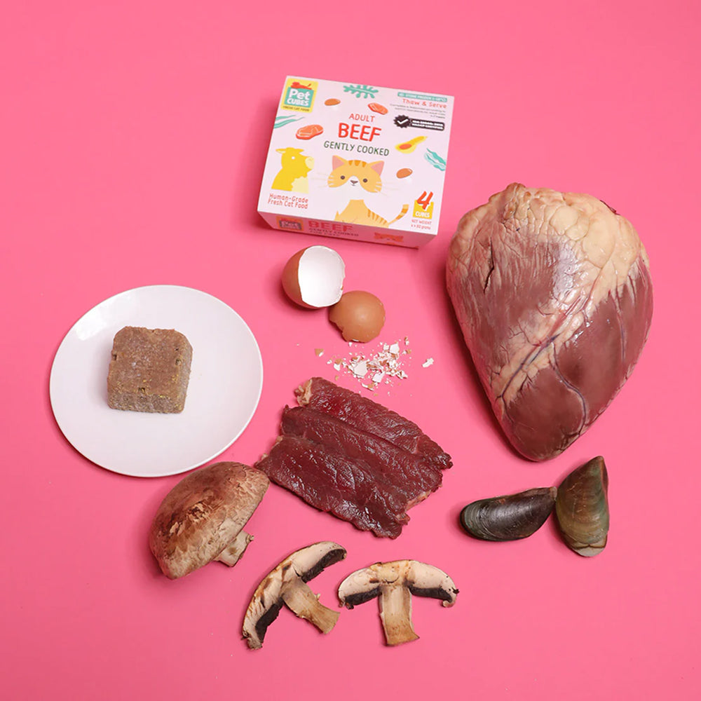 Frozen Fresh Human-Grade Gently Cooked Beef Adult Cat Food - Image 4