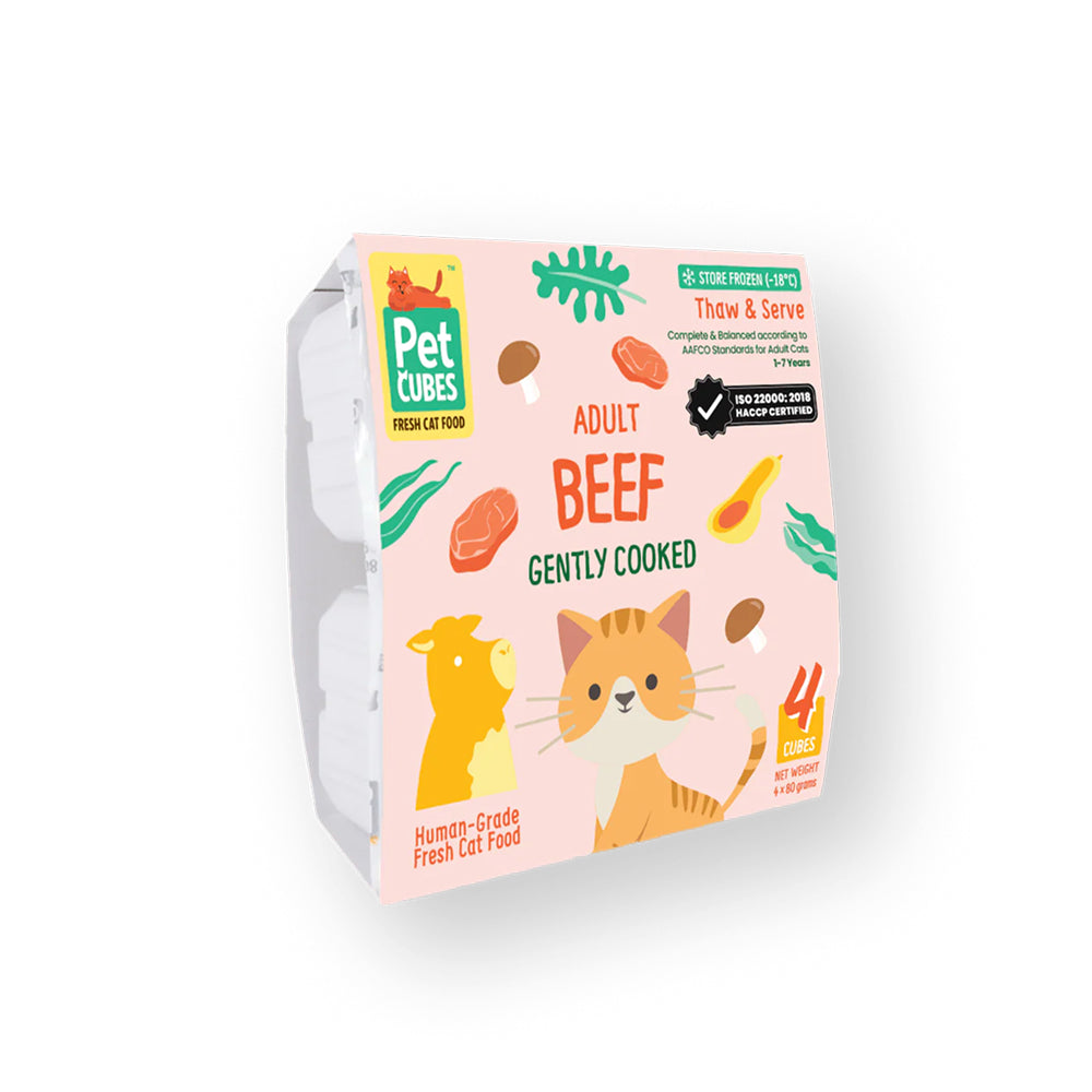 Frozen Fresh Human-Grade Gently Cooked Beef Adult Cat Food - Image 3