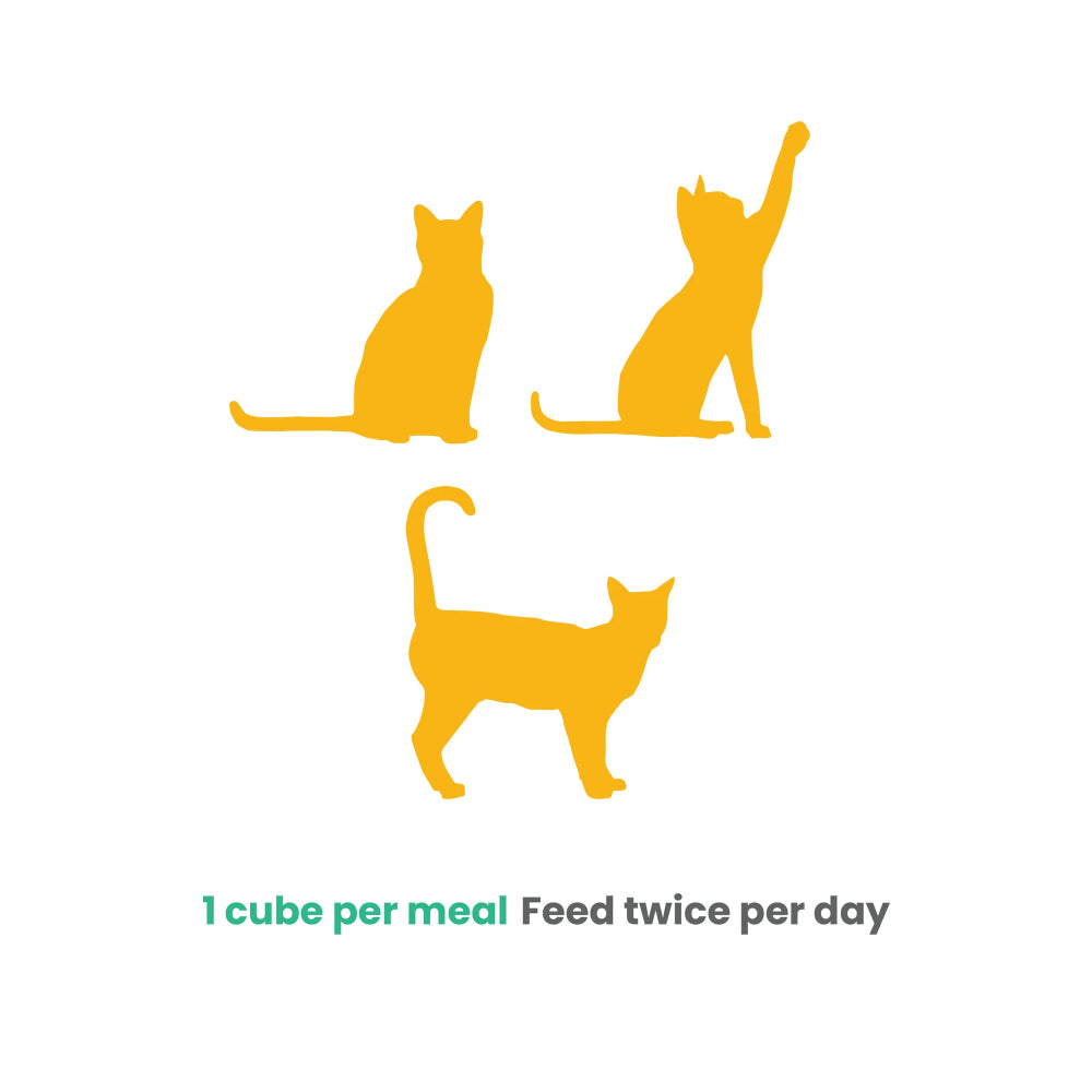 Frozen Fresh Human-Grade Gently Cooked Beef Adult Cat Food - Image 5