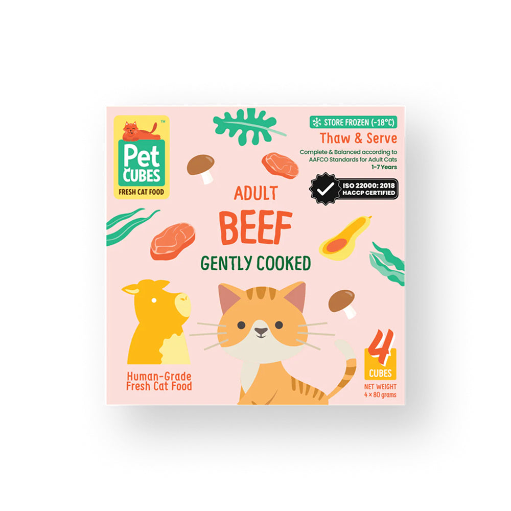 Frozen Fresh Human-Grade Gently Cooked Beef Adult Cat Food - Image 2