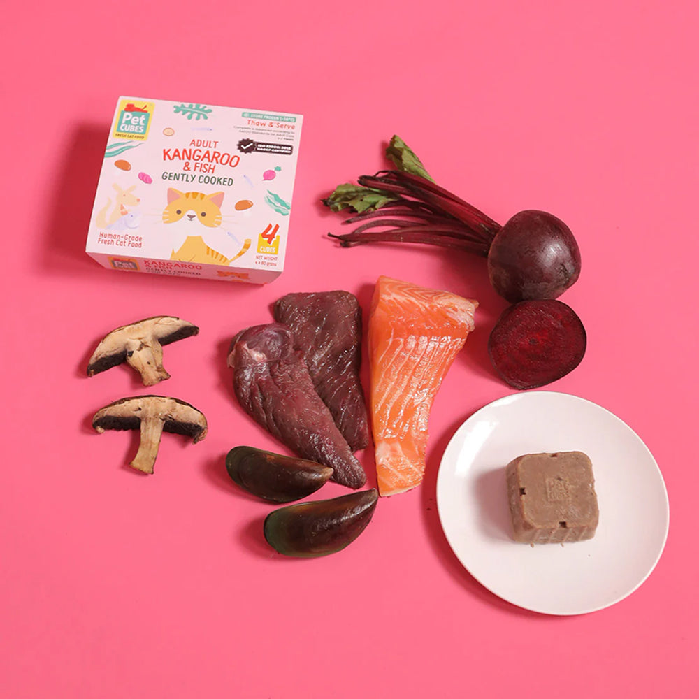 Frozen Fresh Human-Grade Gently Cooked Kangaroo & Fish Adult Cat Food - Image 5