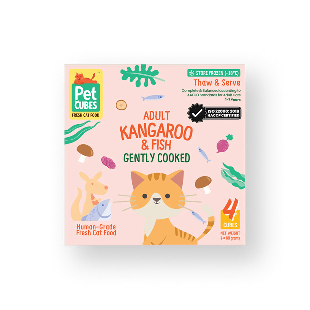 Frozen Fresh Human-Grade Gently Cooked Kangaroo & Fish Adult Cat Food - Image 2
