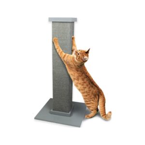 Pioneer Pet - Ultimate Scratching Post Grey