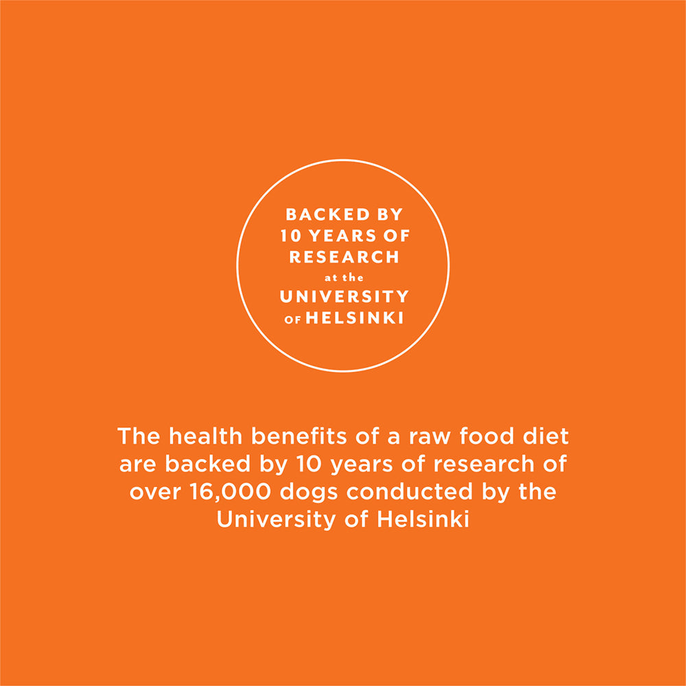 Raw Longevity Freeze Dried Raw Meals - Rabbit Dog Food - Image 5