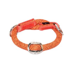 High5Dogs - Slip On Dog Collar - Leisure Style 