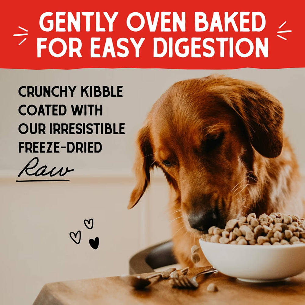 Puppy Freeze Dried Cage Free Chicken Raw Coated Dog Dry Food - Image 6
