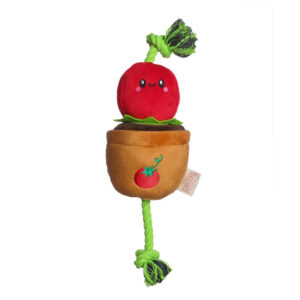 Tomato Dog Tug Toy