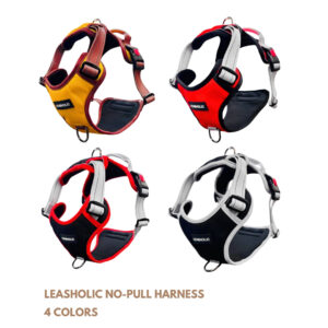 No Pull Dog Harness