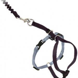 PetSafe - Come With Me Kitty Harness and Bungee Leash Black / Silver