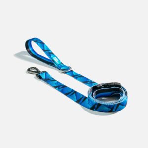 Ikonic Dog Leash