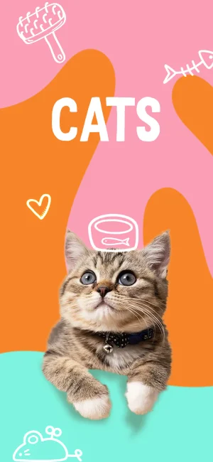 WnP_web_Menu_20240408_banner_cat_600x1300_EN